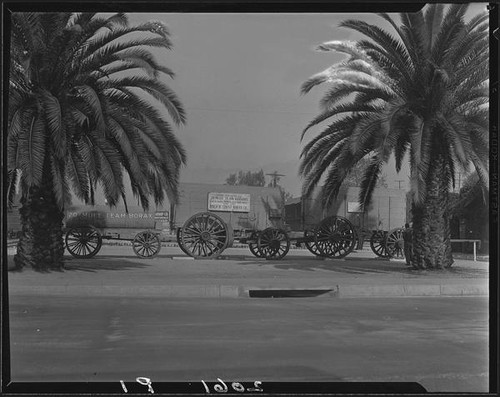 20 Mule Team borax wagons, Pasadena, [1920-1939?]