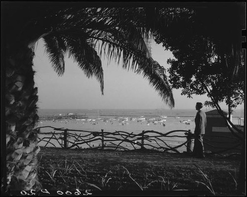 Santa Monica Bay from Palisades Park, Santa Monica, 1928