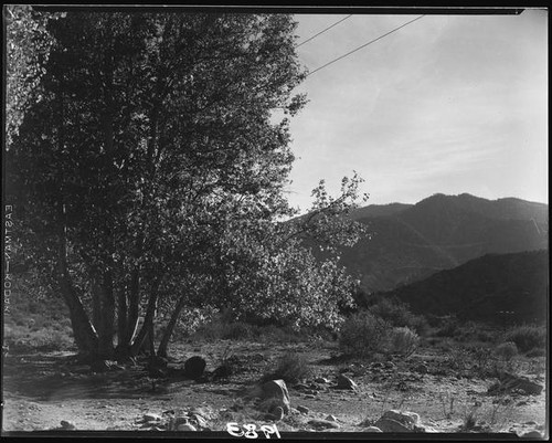 View from Rim of the World Drive, San Bernardino County, [1929 or 1930]