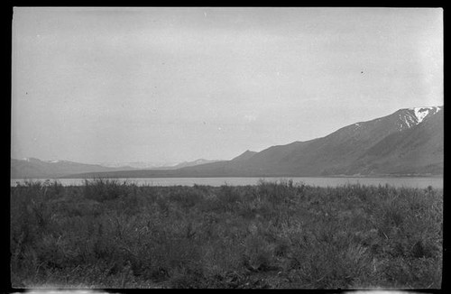 Mono Lake, Mono County, [1929?]