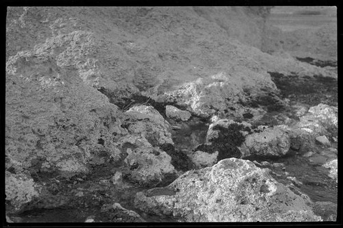 Tufa at edge of Mono Lake, Mono County, [1929?]