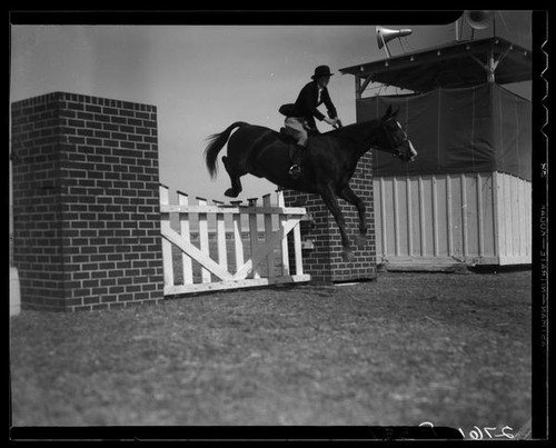 Horse jumping at the Palm Springs Field club during the Desert Circus Rodeo, Palm Springs, 1938