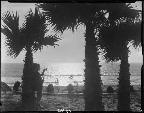 Carolyn Bartlett, palm trees, and ocean, Laguna Beach, 1925