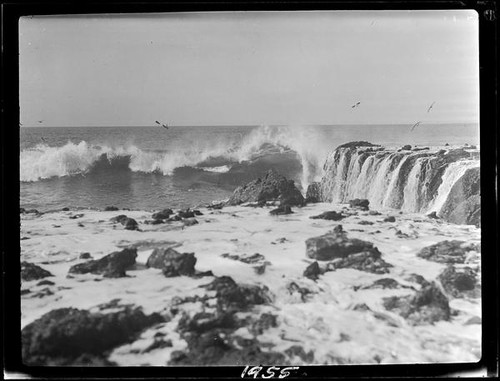 Rocks, surf, and seagulls, Laguna Beach, 1925