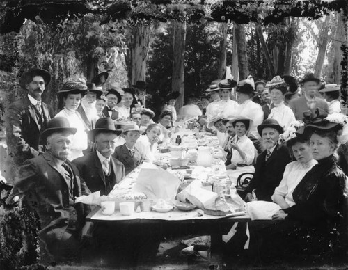 Picnic in the woods