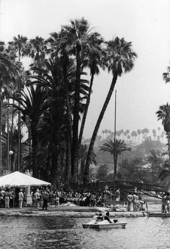 Lotus blossom festival in Echo Park