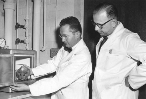 Dr. Harry Sobel and Dr. Reuben Straus at St. Joseph Hospital