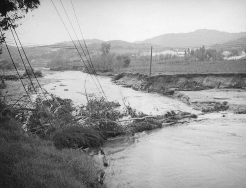 L.A. River flooding, tree tangled with utility wires in Studio City