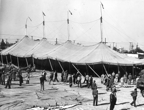 Rising of the big tent