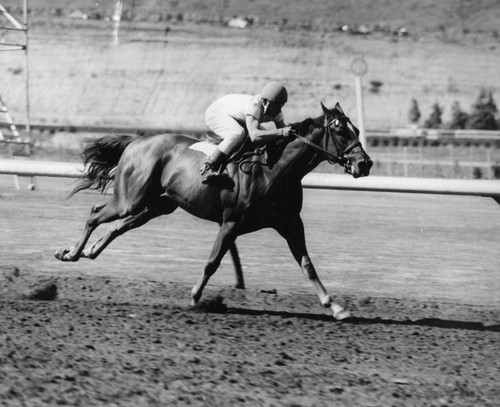 Del Mar Futurity contender