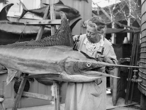 Woman preserves swordfish