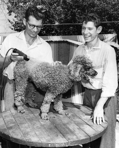 Learning to trim poodle