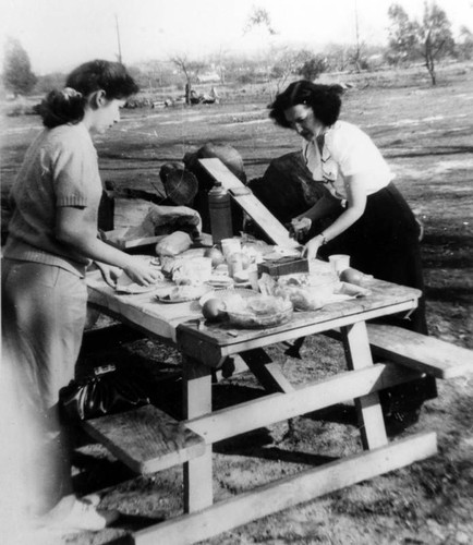 New Year's Day picnic at Griffith Park