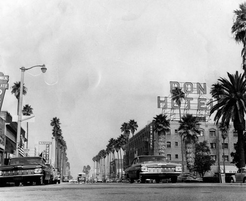 Avalon Boulevard in Wilmington