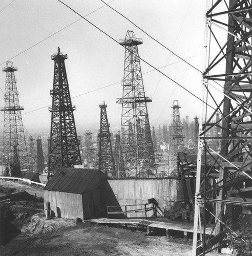 Oil derricks of Los Angeles, view 6