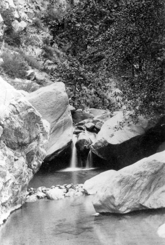 Old picnic area