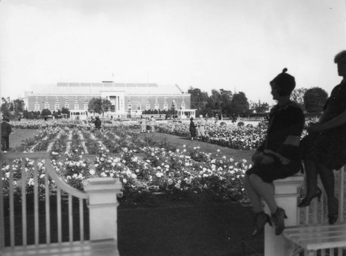Rose garden at Exposition Park