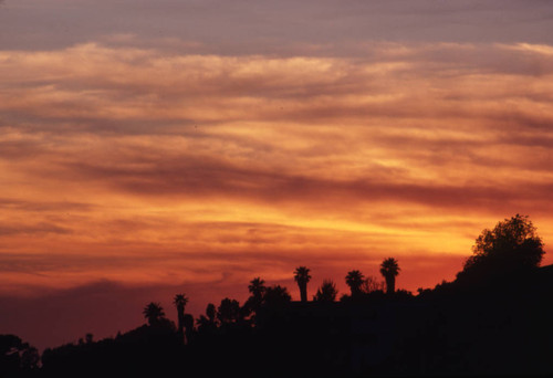 Pacific Palisades at sunset