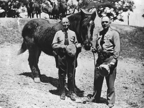 Old Blackie, last of the city's fire horses