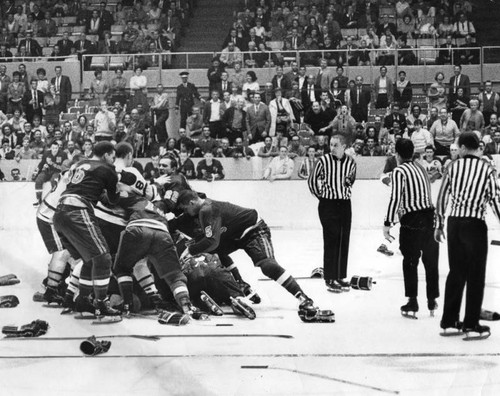 Hockey brawl