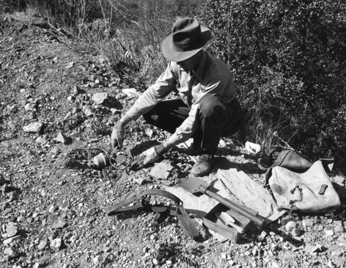 Capturing a mountain lion