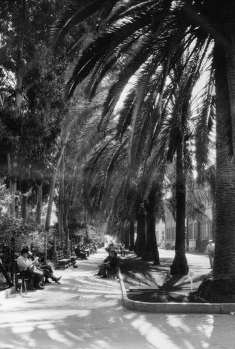 Los Angeles County Farm