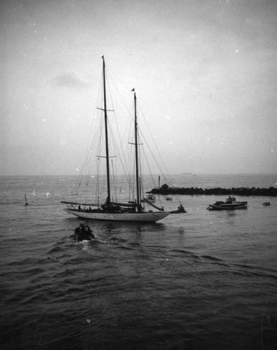 Yachts moored in Santa Monica