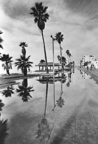 Puddles on boardwalk, Venice