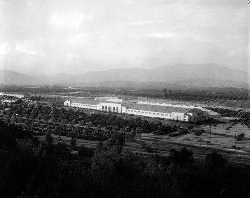 Los Angeles County Fair of 1931