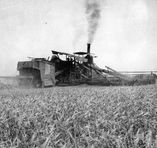 Cutting grain