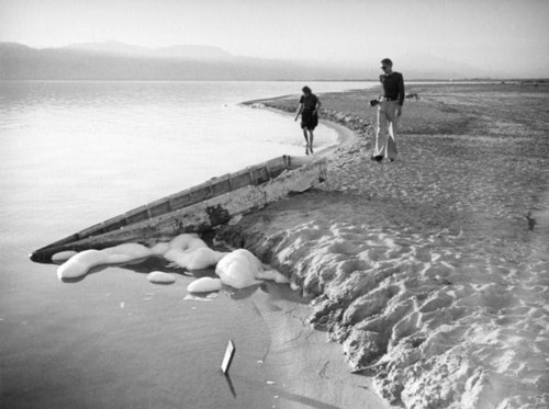 Walking along the Salton Sea