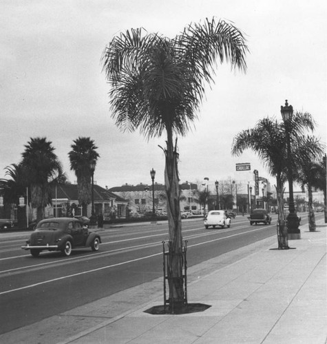 8800 block of Wilshire Boulevard, view 6