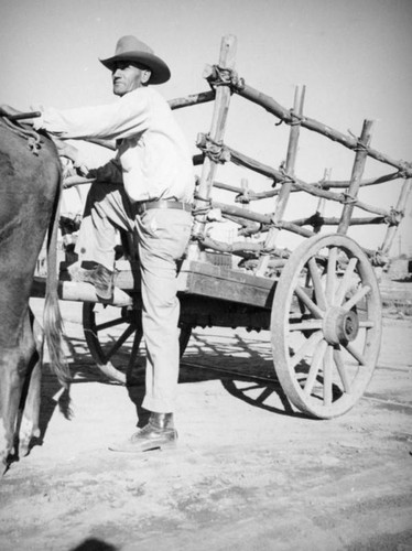 Man climbing onto carreta