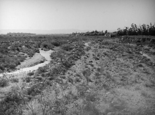 Tujunga Wash