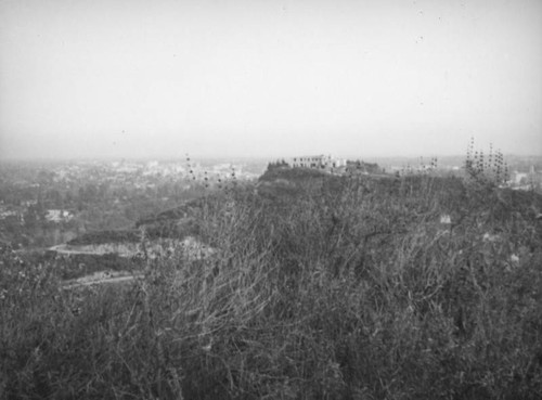 Pasadena from the Annandale Estates