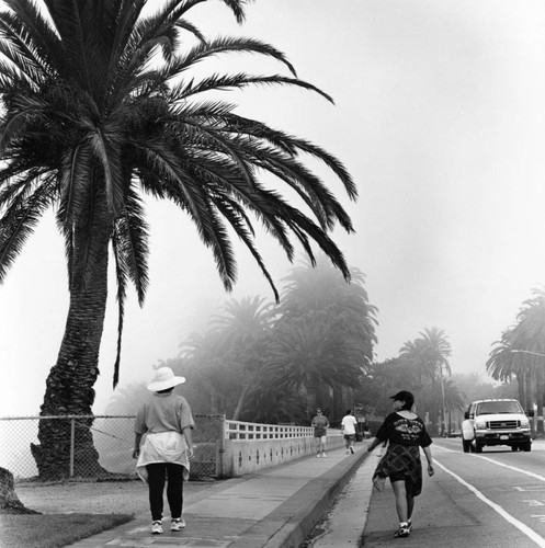 Walkers near Point Fermin Park, San Pedro