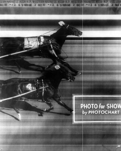 Harness racing, a photo finish