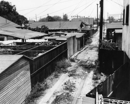 Slum homes near Pueblo Del Rio