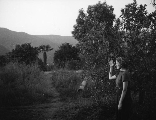 Ethel in a Glendora grove