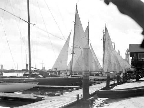 Yachts docked in the harbor