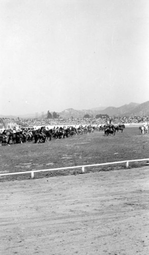 Saugus Rodeo