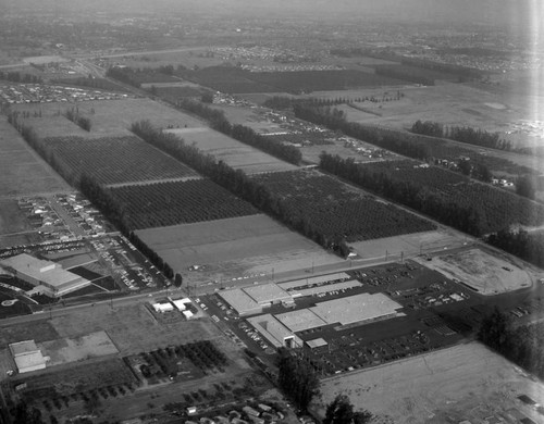 California Electric Power Company, looking southeast