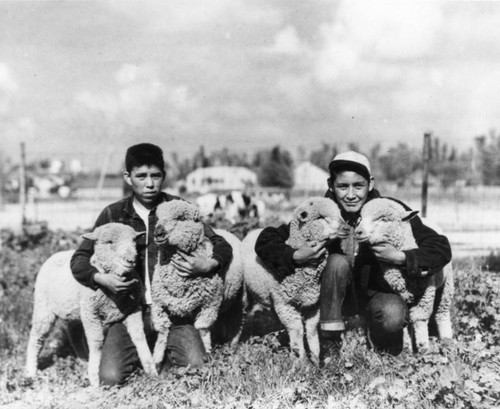 Sherman Institute students with sheep