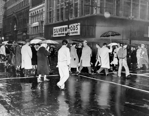 Pedestrians holding umbrellas