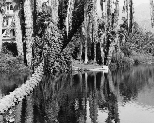 Lake at Arboretum