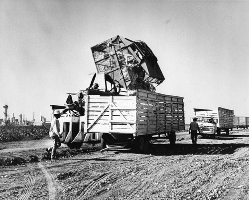 Cotton unloading machine