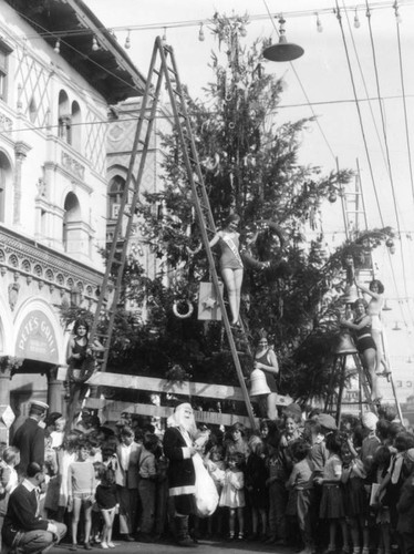 Christmas tree decorating at St. Mark's Hotel