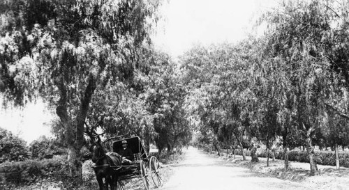 Marengo Avenue, Pasadena