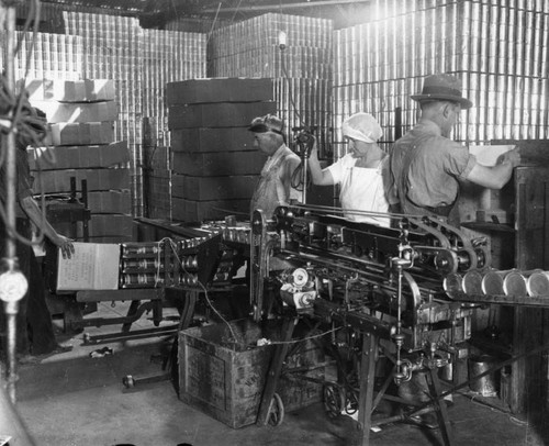 Canning pears