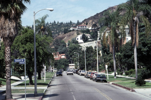 Hollywood Hills neighborhood